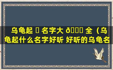 乌龟起 ☘ 名字大 🐒 全（乌龟起什么名字好听 好听的乌龟名字大全）